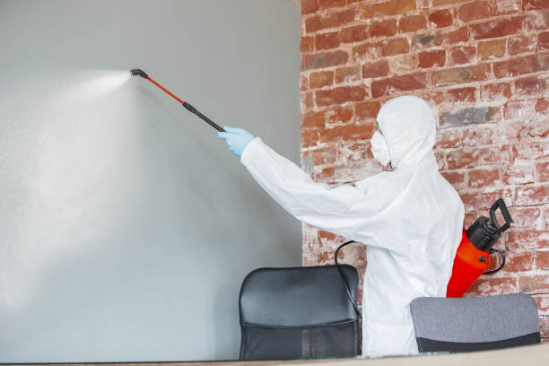Professional Mold Removal in Trophy Clu, TX